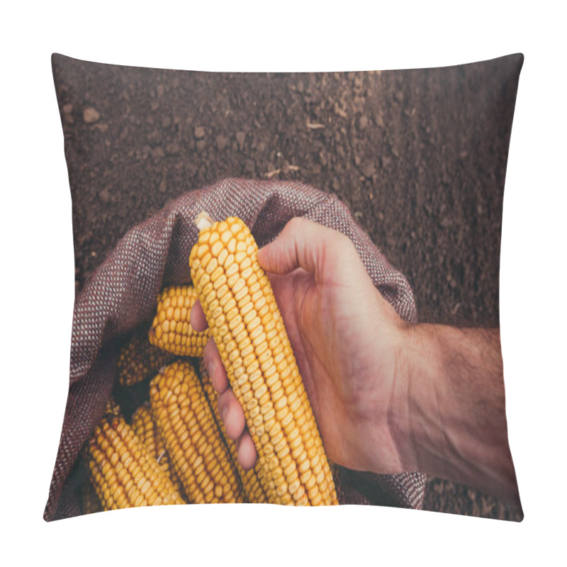 Personality  Farmer Picking Harvested Corn Cobs From Burlap Sack, Top View Of Hand With Selective Focus Pillow Covers