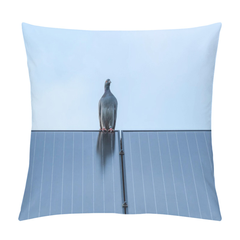 Personality  Homing Pigeon On Solar Panel At The Top Of The Roof Of My House. Pillow Covers