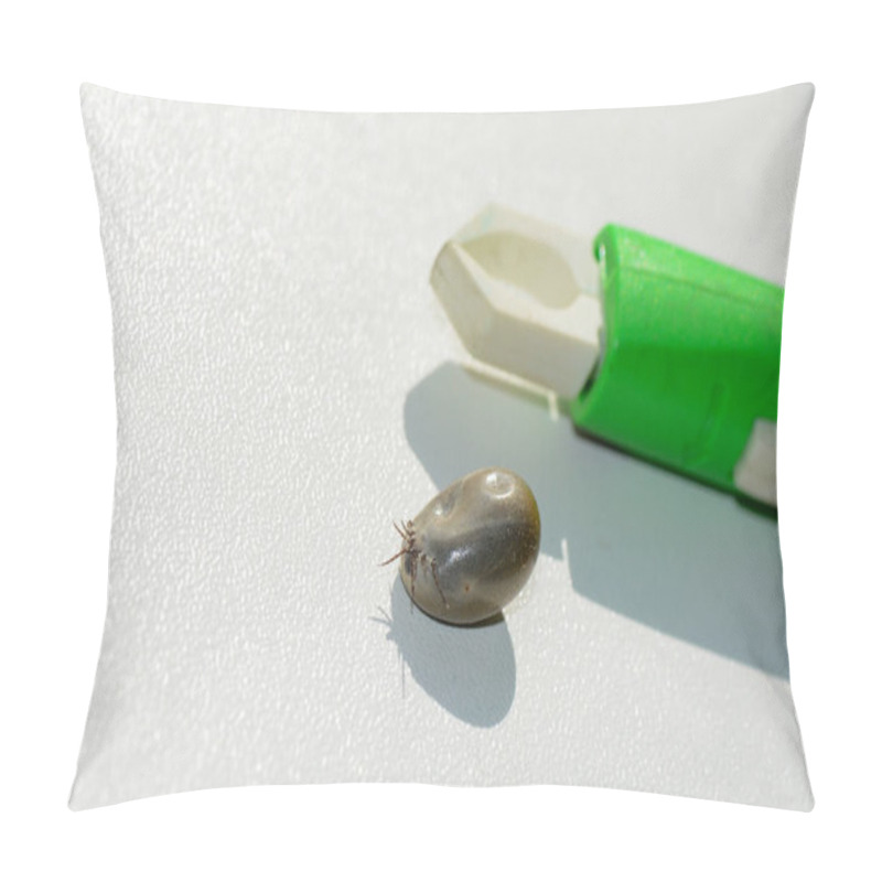 Personality  Blood-sucking Ectoparasites - A Tick Soaked With Blood And A Tick-puller On A White Background Pillow Covers