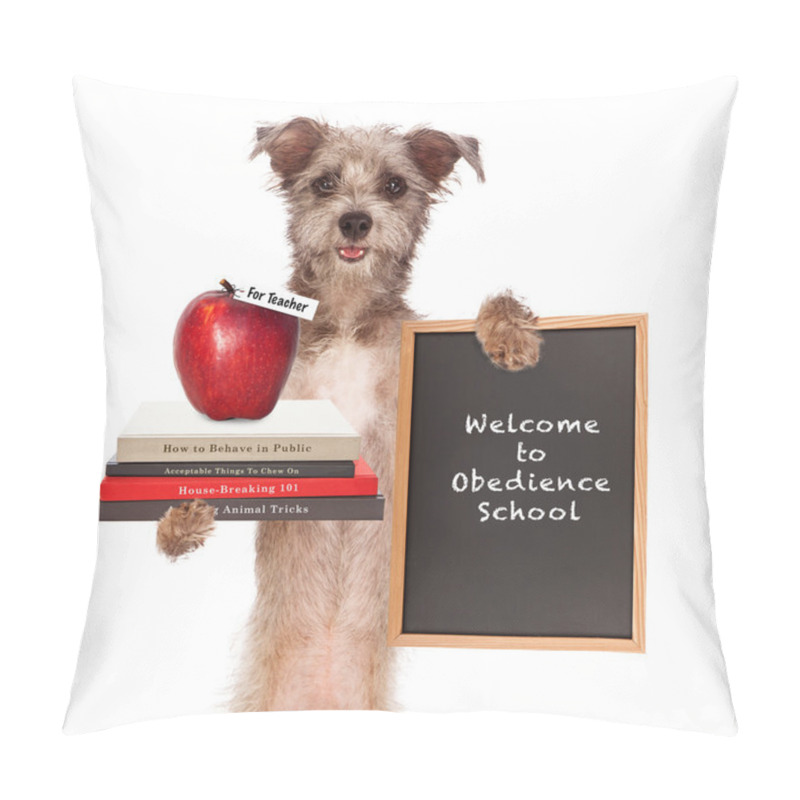 Personality  Dog Obedience School Teacher Pillow Covers