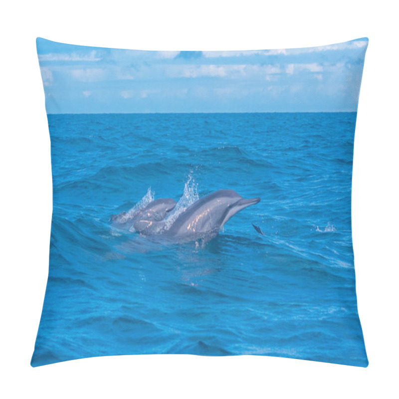 Personality  Dolphins Jumping In The Waves Off The Coast Of Sri Lanka Near Kalpitiya. Pillow Covers