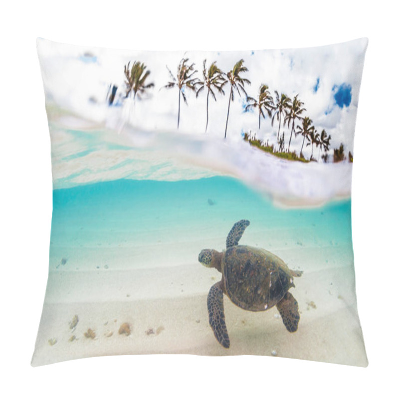 Personality  Hawaiian Green Sea Turtle Cruising In The Warm Waters Of The Pacific Ocean In Hawaii Pillow Covers