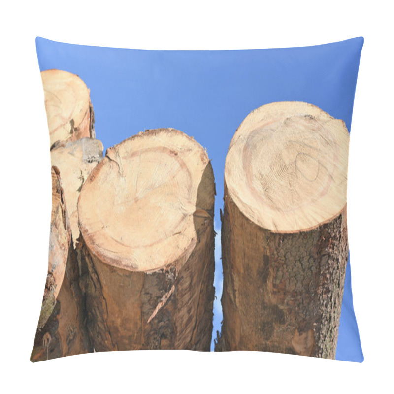 Personality  Preparation And Wood Warehousing In An Industrial Landscape. Pillow Covers