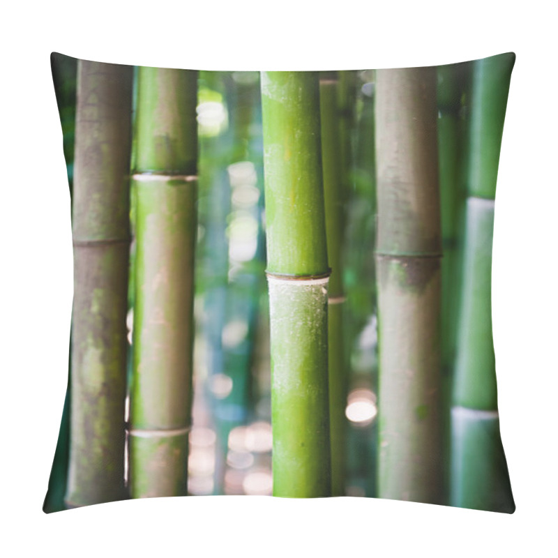 Personality  Bamboo Stems Pillow Covers