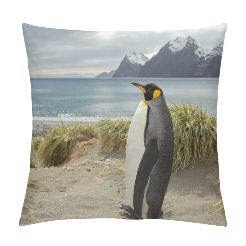 Personality  King Penguin Standing On The Sandy Beach Pillow Covers