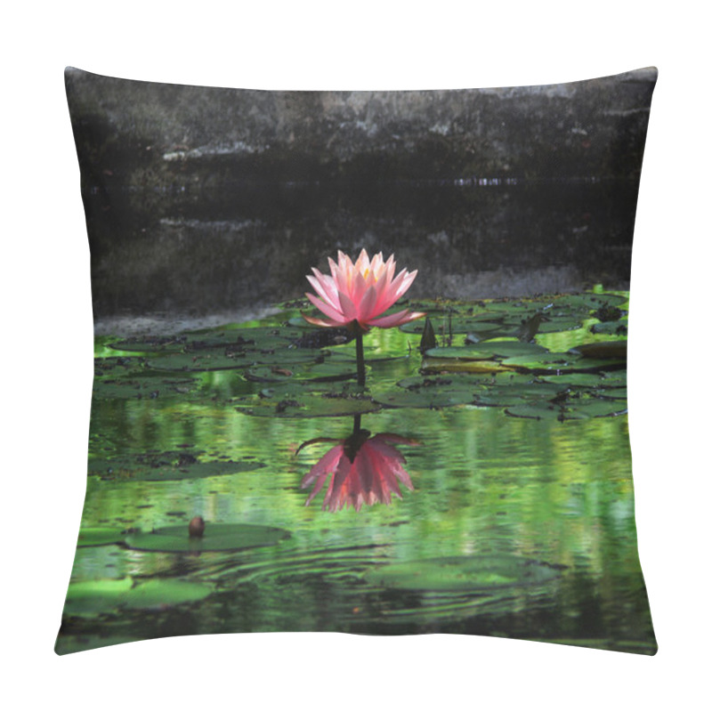 Personality  Waterlily 5 Pillow Covers