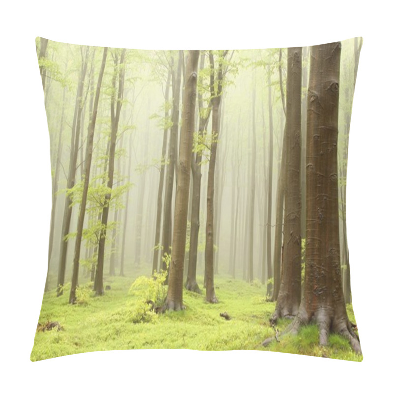 Personality  Beech Forest In The Fog Pillow Covers