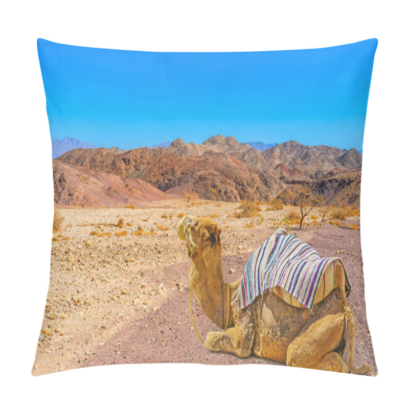 Personality  The Camel Ride Among The Rocks Pillow Covers