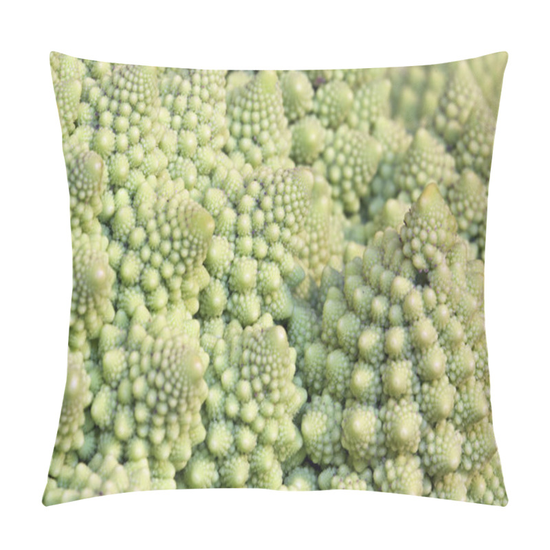 Personality  Macro Photography Of A Ripe Green Cabbage In The Fall Pillow Covers