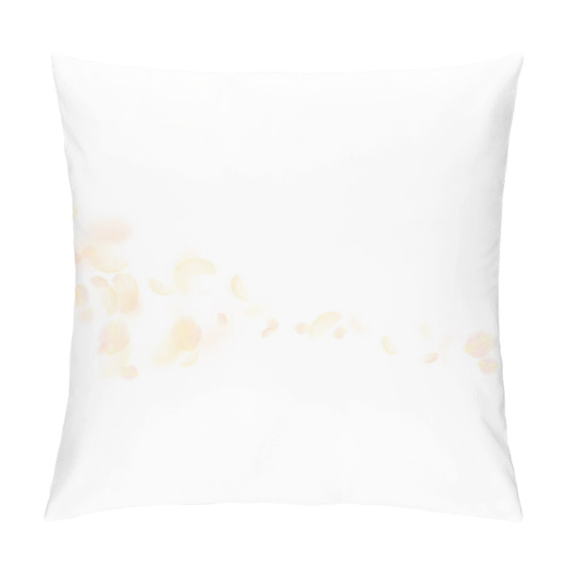 Personality  Yellow Orange Flower Petals Falling Down. Artistic Pillow Covers