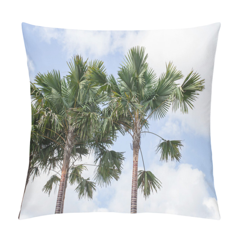 Personality  An Image Nice Palm Trees In The Blue Sky Pillow Covers