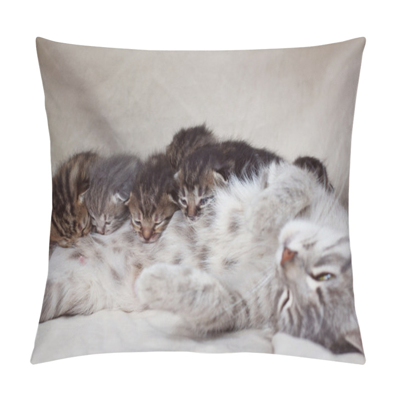 Personality  Mother Cat Feeding Kittens Pillow Covers