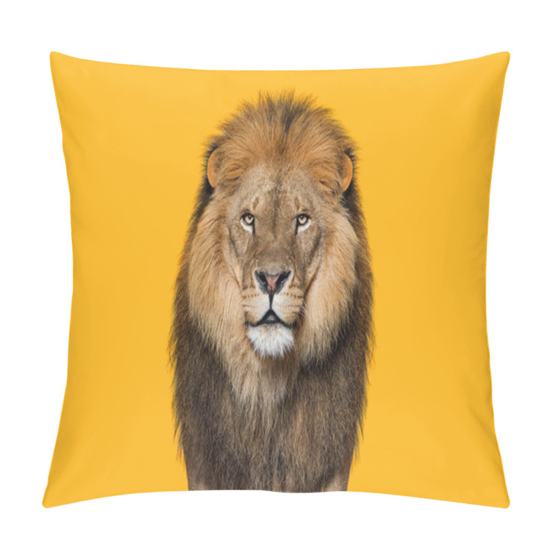 Personality  Portrait Of A Male Adult Lion Looking At The Camera, Panthera Leo Against Orange Backgroung Pillow Covers