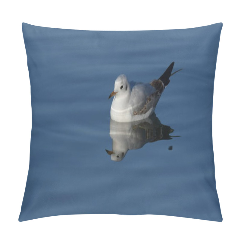 Personality  Black-headed Gull - (Chroicocephalus Ridibundus)  Pillow Covers