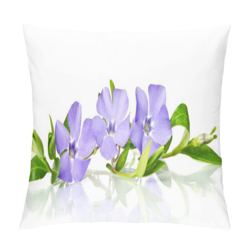 Personality  Beautiful Blue Periwinkle Isolated On White Pillow Covers