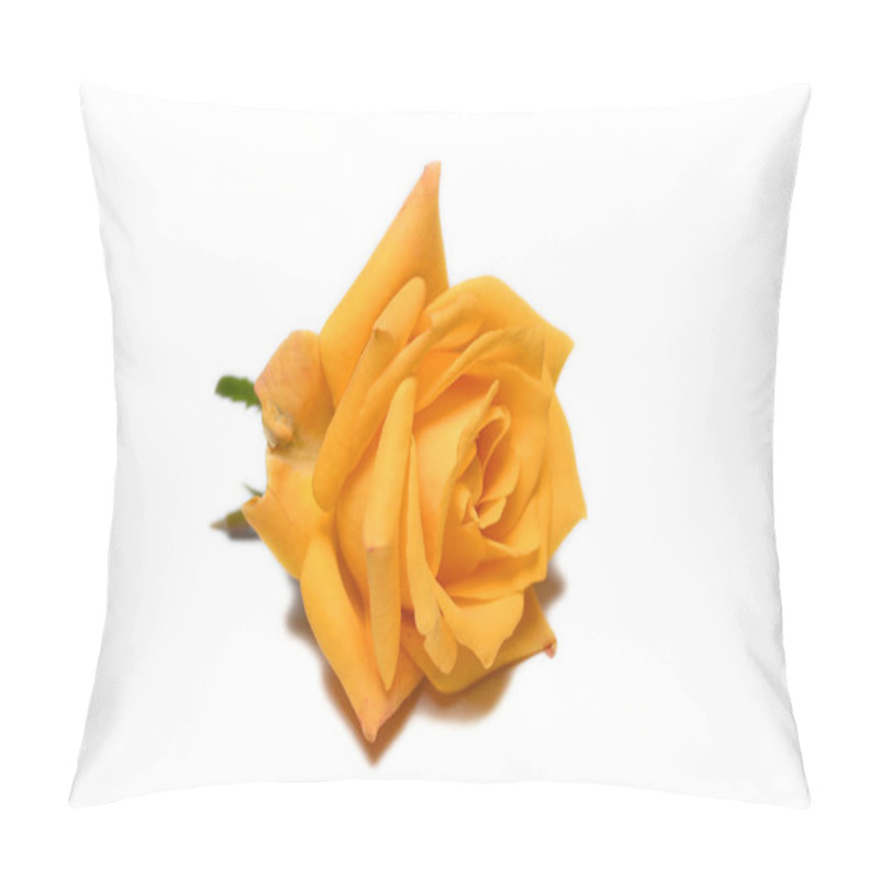 Personality  Yellow Rose Isolated On White Background  Pillow Covers