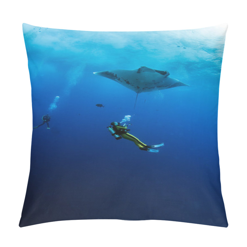 Personality  Manta Ray At Islas Revillagigedos, Mexico Pillow Covers