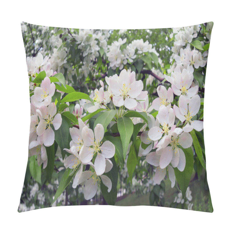 Personality  Pear Shining Delicate Flowers Pillow Covers