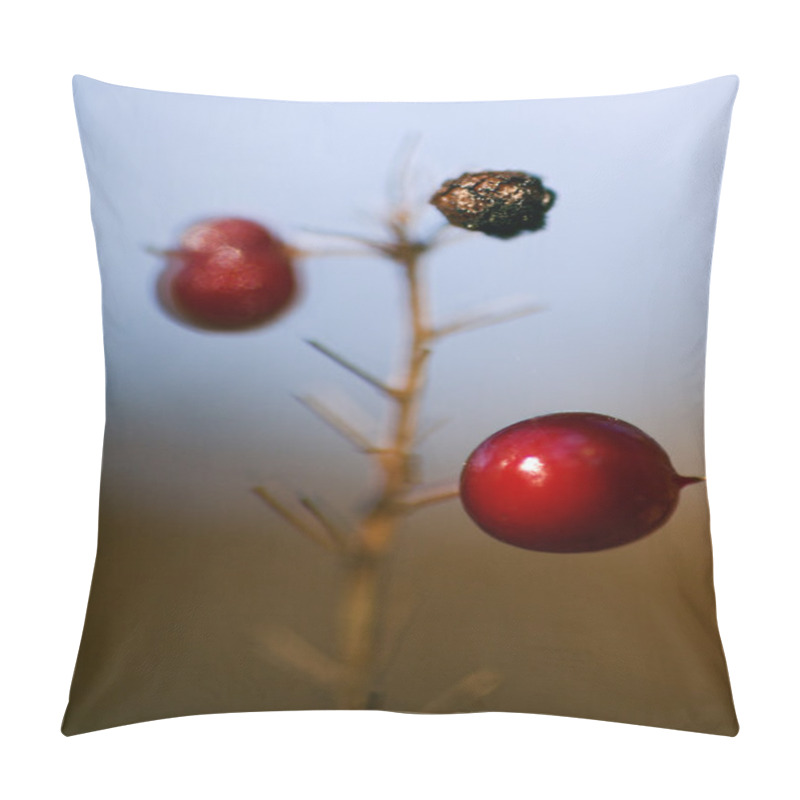 Personality  Maianthemum Bifolium Pillow Covers