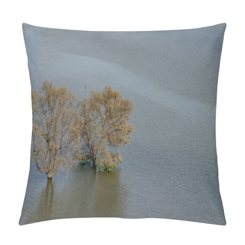 Personality  A Serene Scene Of Mangrove Trees Partially Submerged In Calm Coastal Waters, Showcasing Natural Beauty And Ecological Significance. Ideal For Projects Related To Nature Conservation, Wetlands, Environmental Themes, And Tranquil Landscapes Pillow Covers