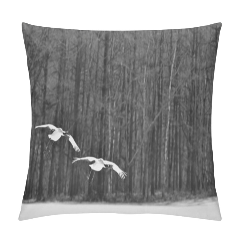 Personality  Apanese Cranes In Flight In Winter Forest. The Red-crowned Crane (Sceincific Name: Grus Japonensis), Also Called The Japanese Crane Or Manchurian Crane, Is A Large East Asian Crane. Black And White. Pillow Covers