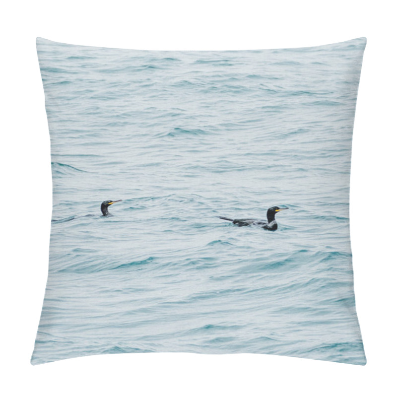 Personality  Two Great Cormorants Swimming In The Ocean Off The Coast Of South Iceland Pillow Covers