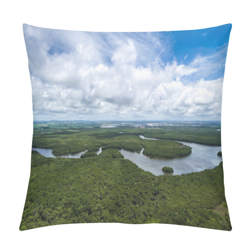 Personality  Amazon Rainforest In Brazil Pillow Covers