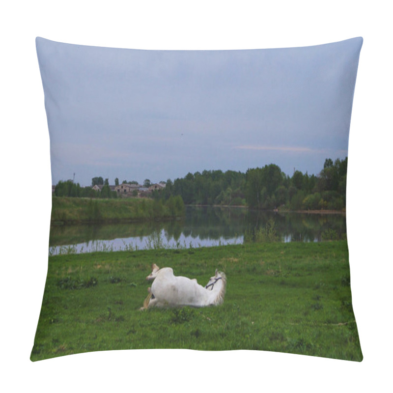 Personality  A Wounded White Horse Lying On A Grass Land In Summer Pillow Covers