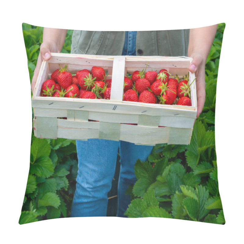 Personality  Worker With Strawberry In Box, Strawberry Fields In Germany, Outdoor Plantation With Ripe Sweet Red Strawberries Ready For Harvest Pillow Covers