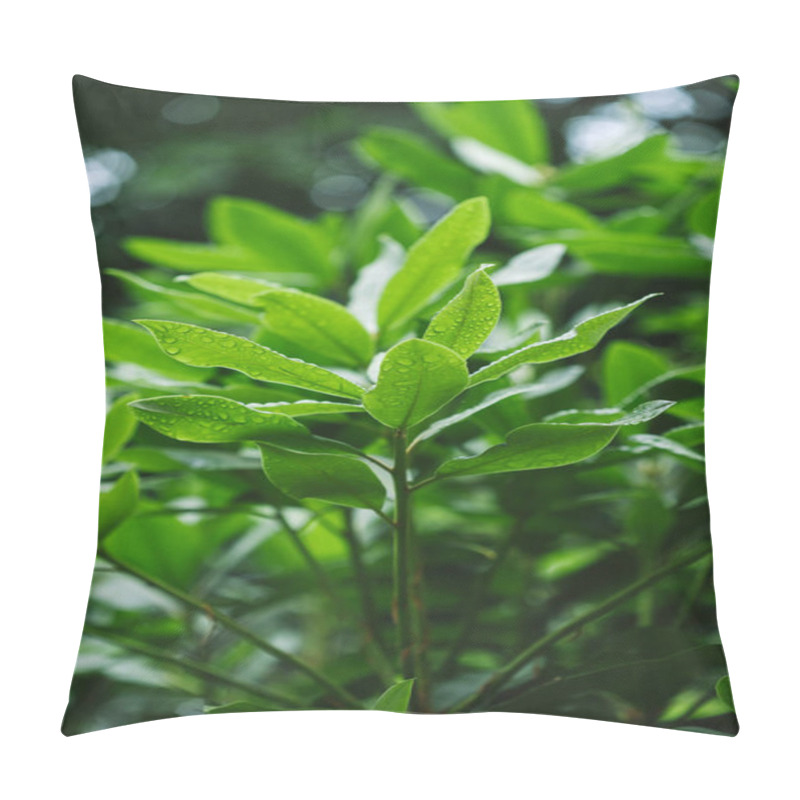 Personality  Selective Focus Of Branches With Green Leaves  Pillow Covers