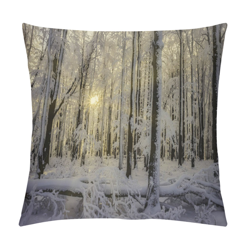 Personality  Winter Beech Forest With Sun In The Background Pillow Covers