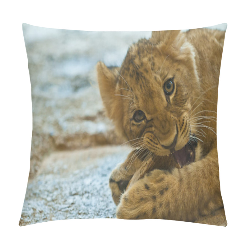 Personality  Little Lion Pillow Covers