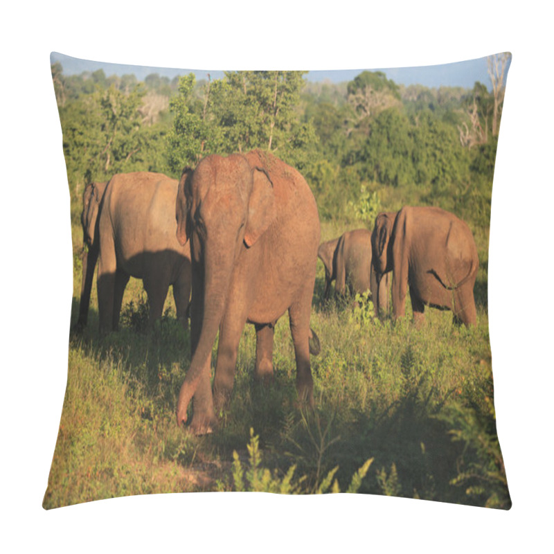 Personality  Indian Elephant Herd In Udavalave National Park , Sri Lanka, Pillow Covers