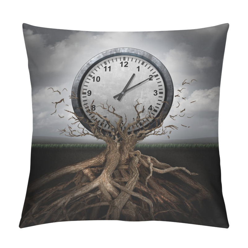 Personality  Time Planning Pillow Covers