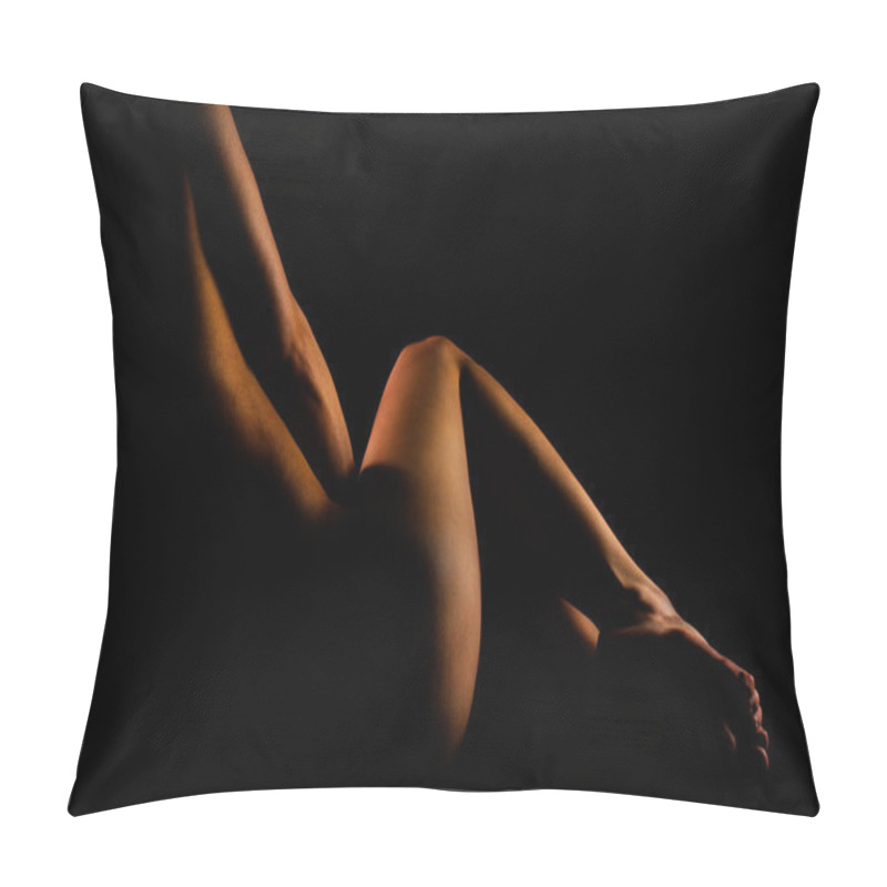 Personality  Nude Woman. Pillow Covers