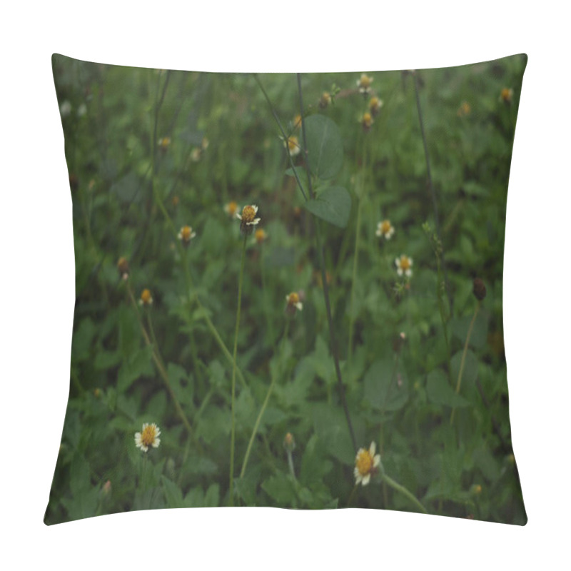 Personality  Close-up Of The Background Of Daisies On A Green Field Of Grass. Flower Backgrounds. Pillow Covers