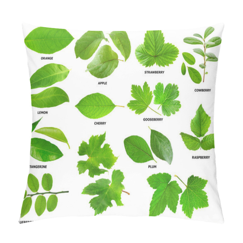 Personality  Leaves Of Fruit And Berry Shrubs And Trees Pillow Covers