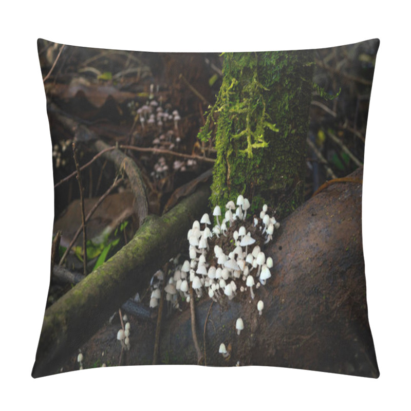 Personality  Fairy Inkcap Mushrooms (Coprinellus Disseminatus) Pillow Covers