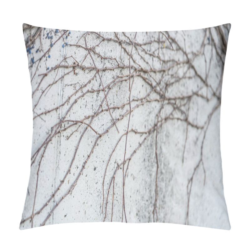 Personality  Abstract Minimalist Wall Texture With Intertwined Bare Branches And Natural Geometric Patterns Pillow Covers