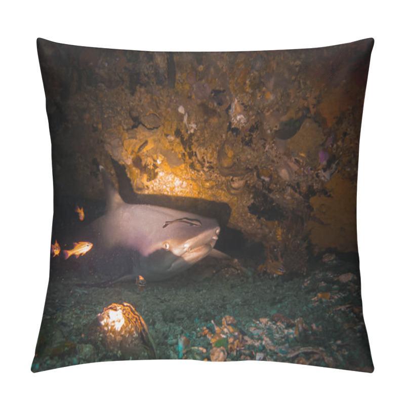 Personality  A Whitetip Reef Shark (Triaenodon Obesus) In An Underwater Cave At Gato Island, Malapscua, Philippines. The Whitetip Reef Shark Is A Species Of Requiem Shark, In The Family Carcharhinidae Pillow Covers