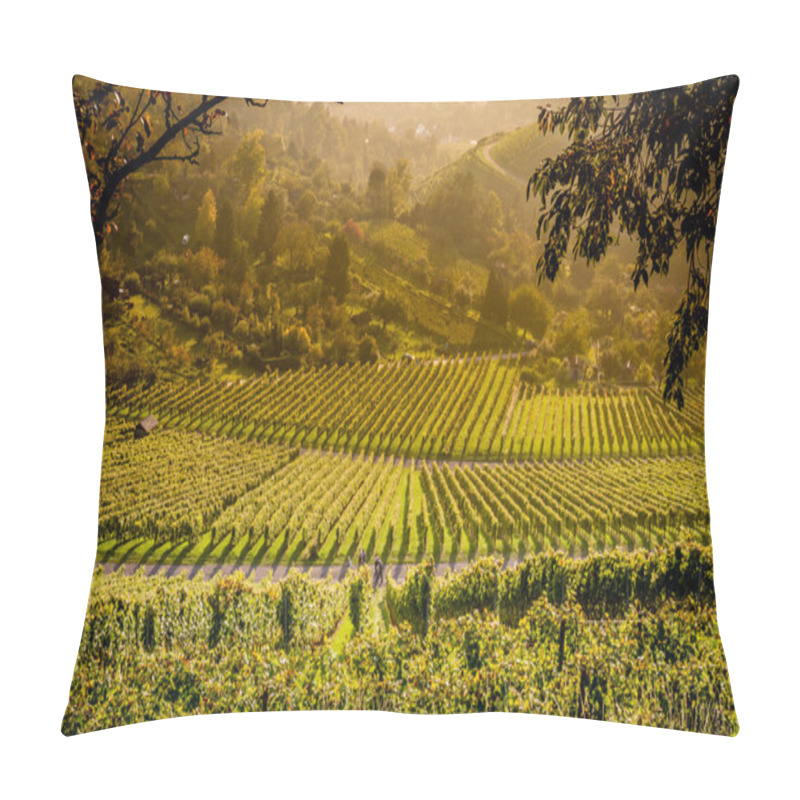 Personality  Vineyards And Paths To Wander Through Them Pillow Covers