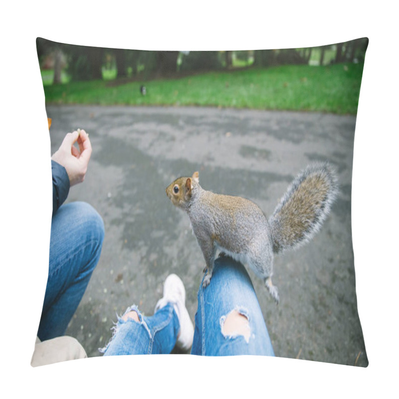 Personality  A Squirrel Sitting On A Human Lap Pillow Covers