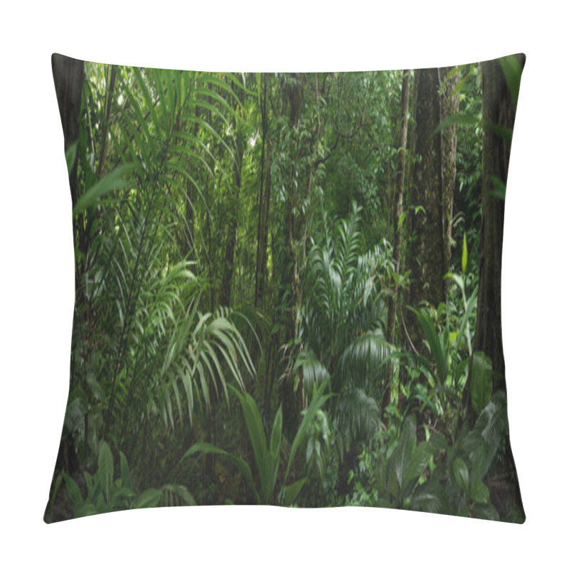 Personality  Tropical Rainforest In Costa Rica Pillow Covers