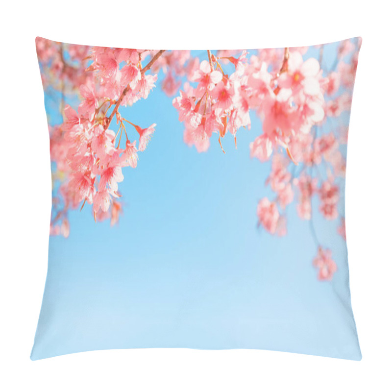 Personality  Beautiful Sakura Flower (cherry Blossom) In Spring. Sakura Tree Flower On Blue Sky.  Pillow Covers