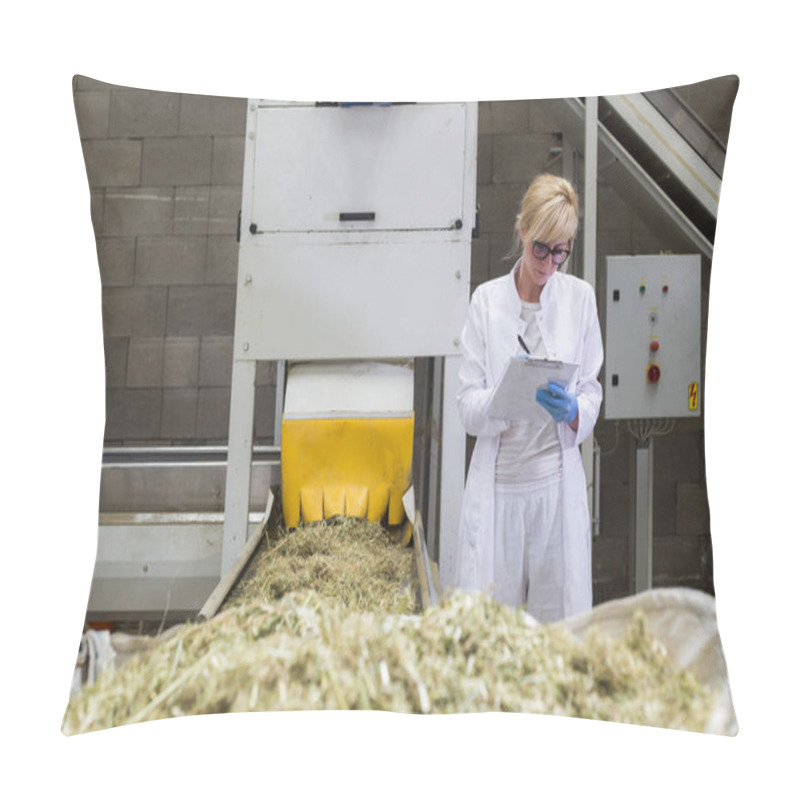 Personality  Scientist Observing Dry CBD Hemp Plants By The Sorting Machine I Pillow Covers