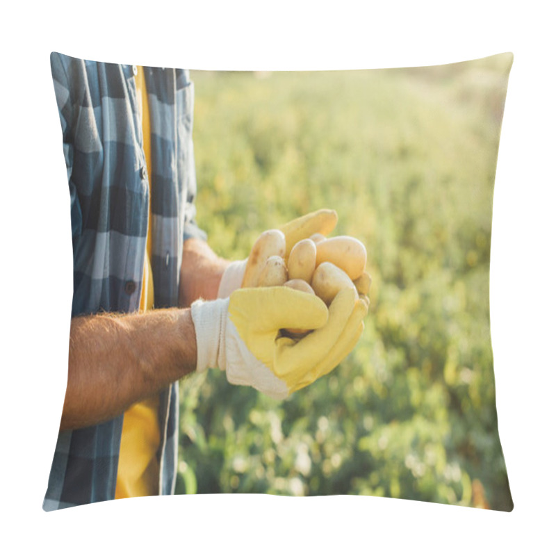 Personality  Cropped View Of Farmer In Plaid Shirt And Gloves Holding Fresh Potatoes In Cupped Hands Pillow Covers