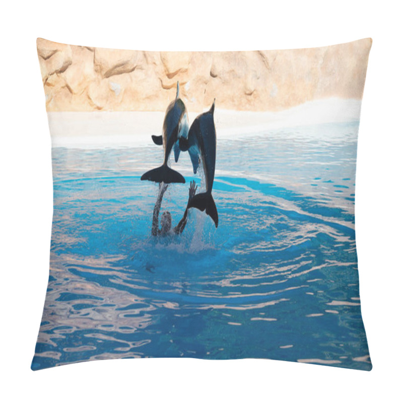 Personality  Trained Sea Animals Dolphins Perform In Blue Pool In Front Of Tourists At Water Show Pillow Covers