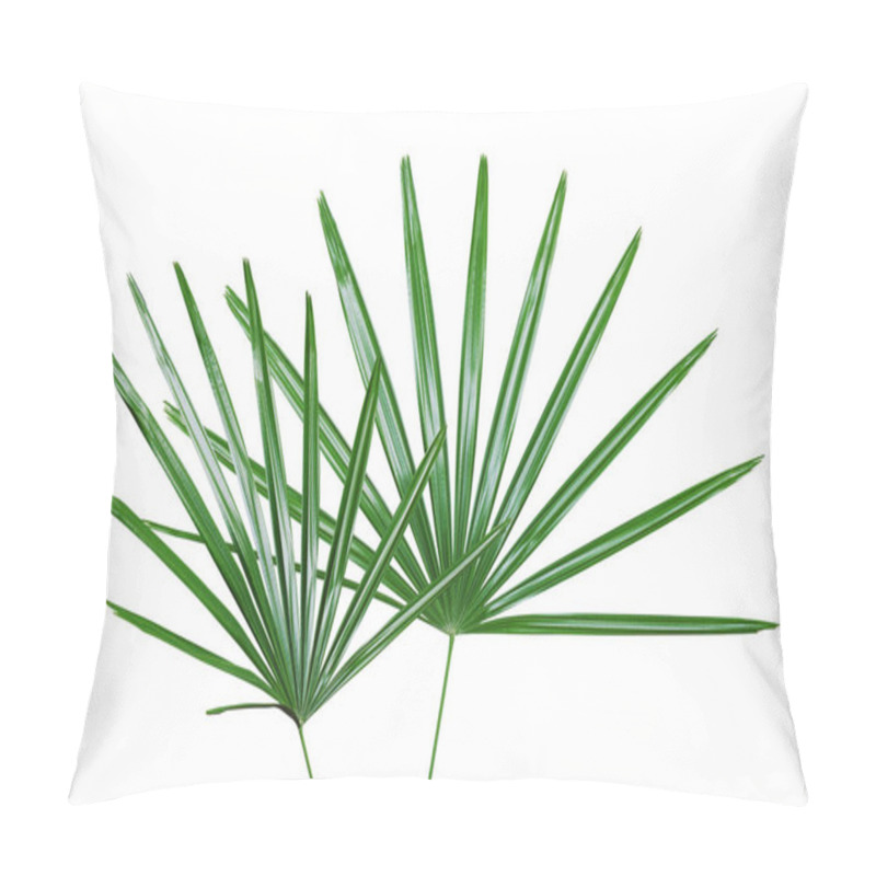 Personality  Green Leaves Of Lady Palm Plant Isolated On White Backgroud With Clipping Path Pillow Covers