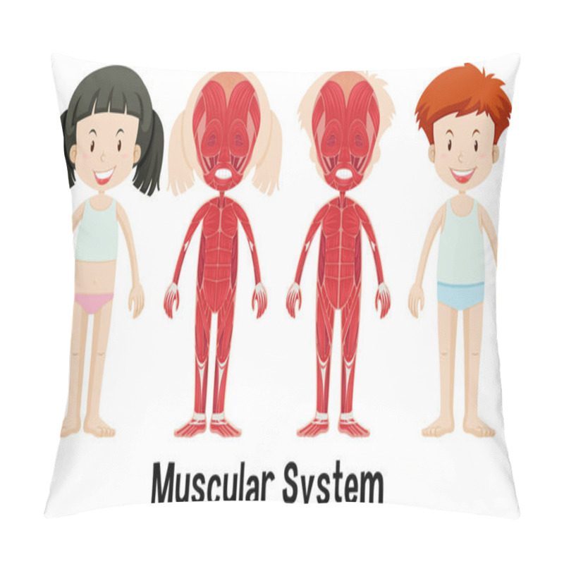 Personality  Anatomy Of Children's Muscles With Labeled Parts Pillow Covers