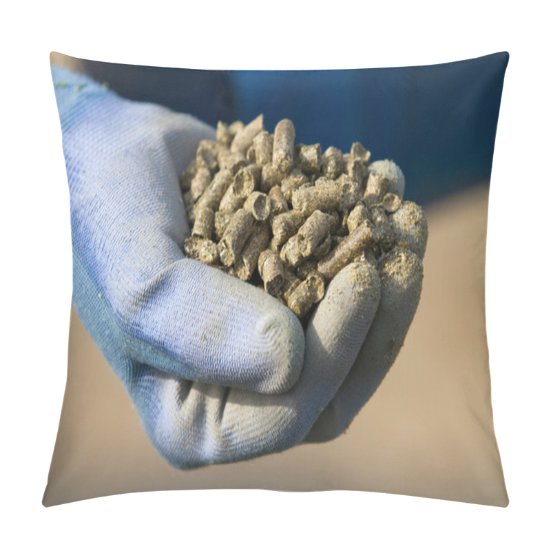 Personality  Organic Alfalfa Pellets Pillow Covers